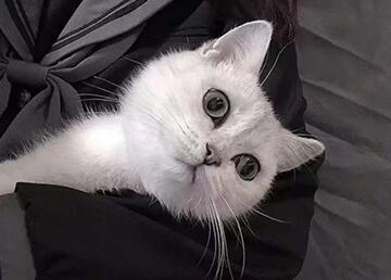 8位YY号【二区】